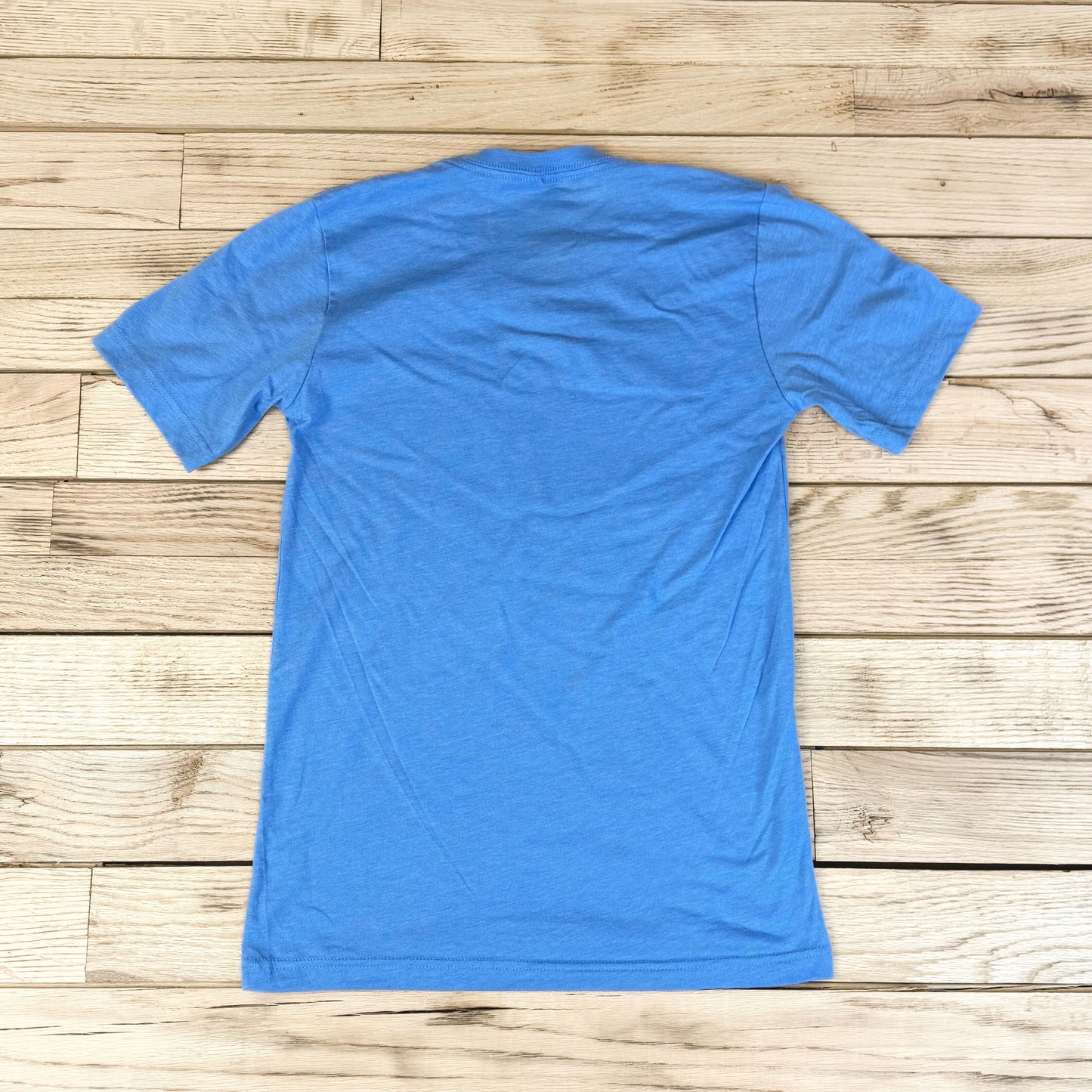 Men's Surf Wyoming® Bruno Bison Tee - Carolina Blue
