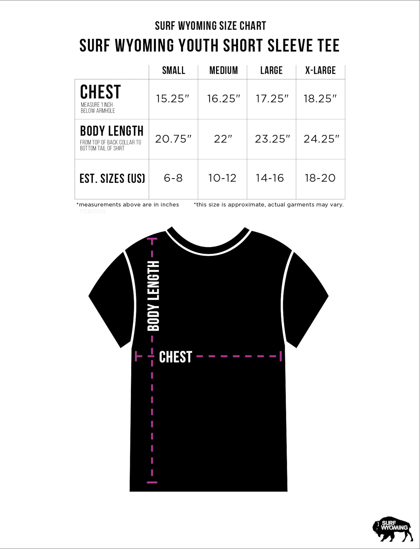 Youth Surf Wyoming® First Park 3.0 Tee - Heather Magenta