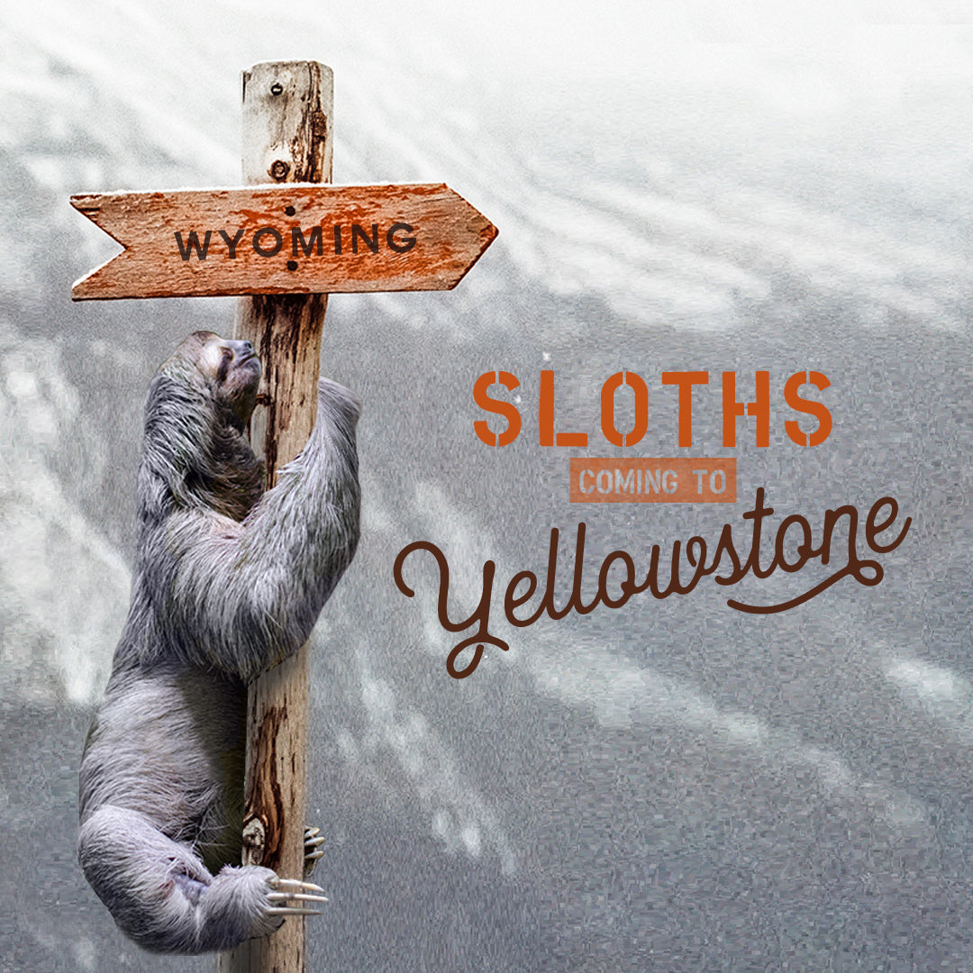 Wyoming's Project Sloth - Summer 2021