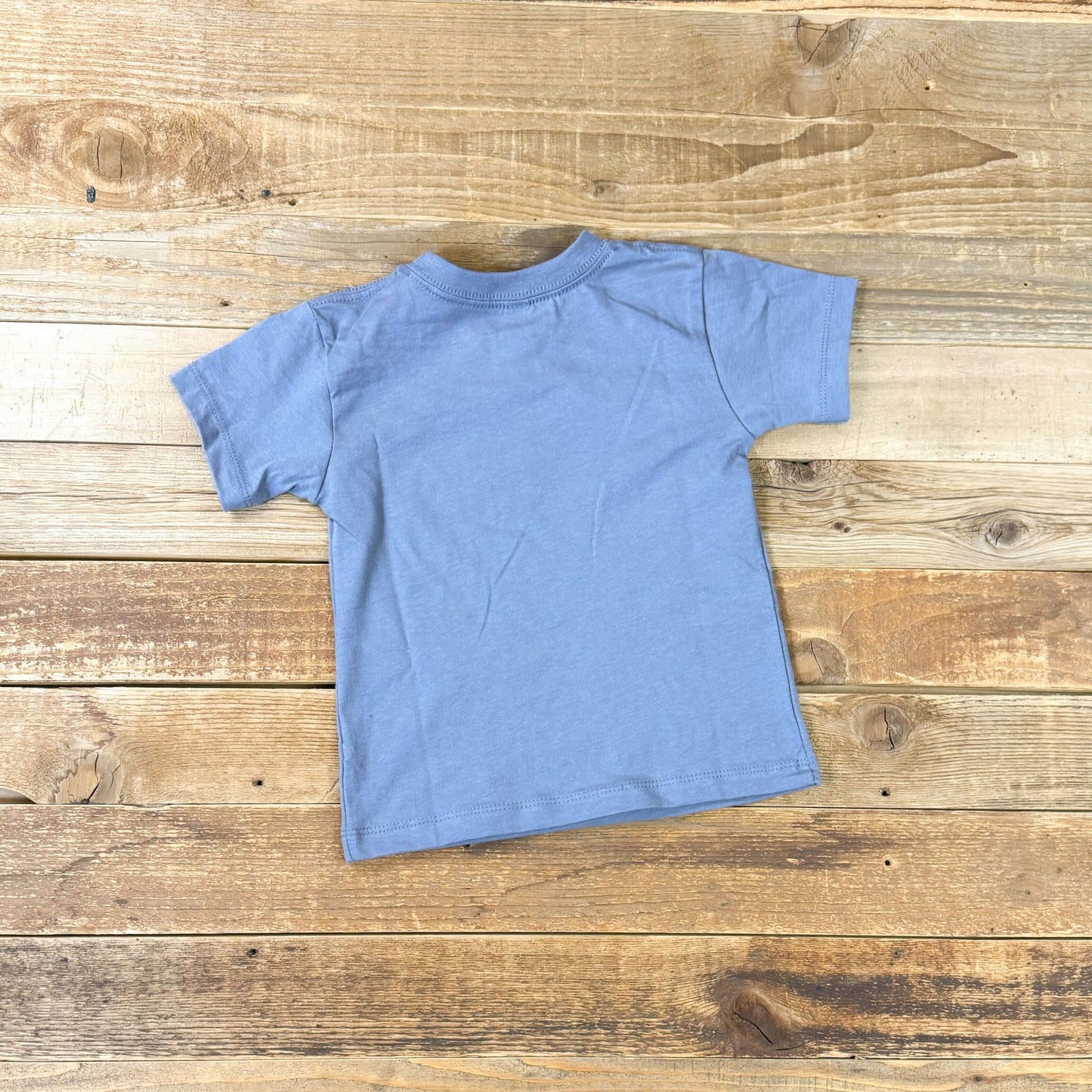 Toddler Surf Wyoming® Bison Drip Tee - Storm