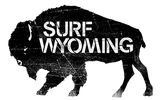 uKeg GO 64oz Silver Bison Growler - Matte Black – Surf Wyoming