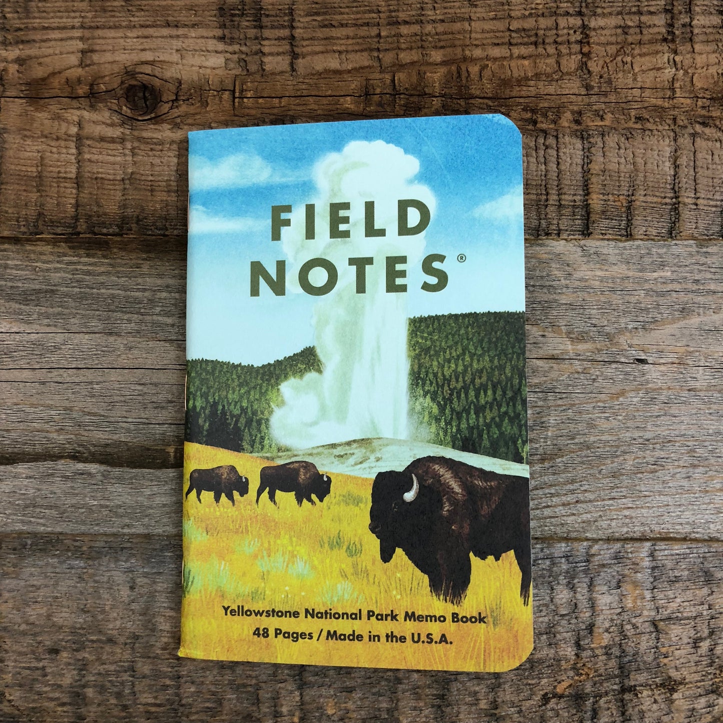 NATIONAL PARKS Series C - Field Notes - 3-Pak